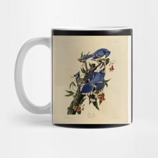 Blue Jays Mug
